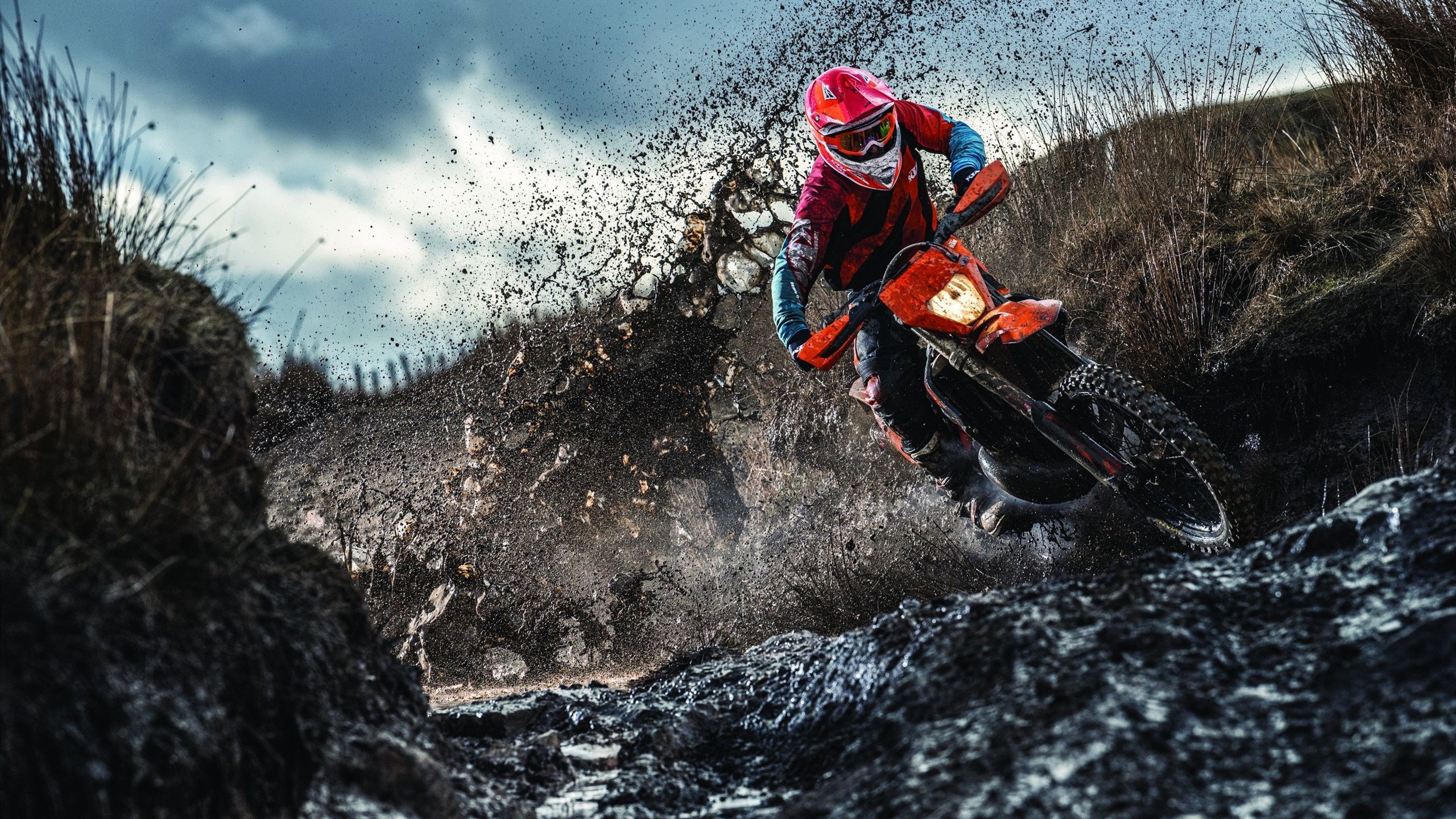 努尔基奇新秀赛季数据分析:或是杨瀚森的NBA生存指南,努尔基奇篮板